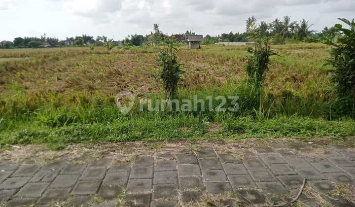 Jual Tnah untuk Investasi Jalan Mobil View Bagus