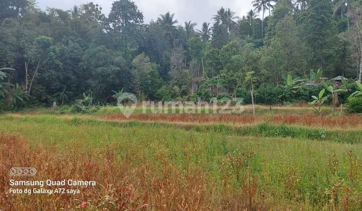 Tanah Untuk Investasi Harga Murah View Bagusv