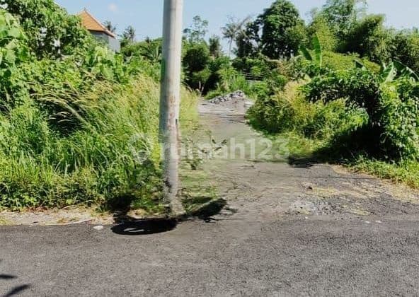Land for Sale, Very Strategic and Hook Location in Siulan