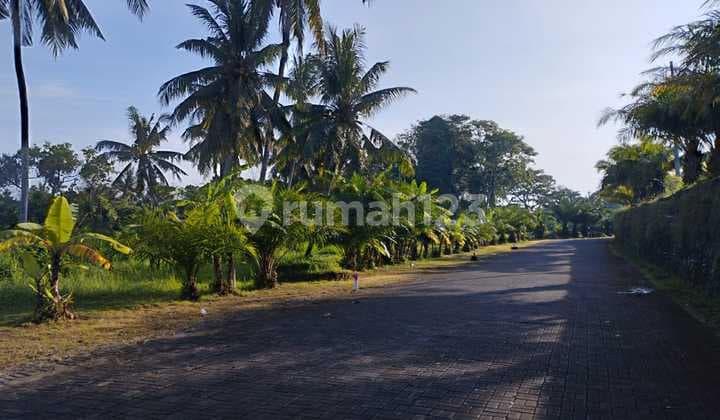 Tanah Los Sungai Hutan View Keren Jalan Lebar Ling Vila