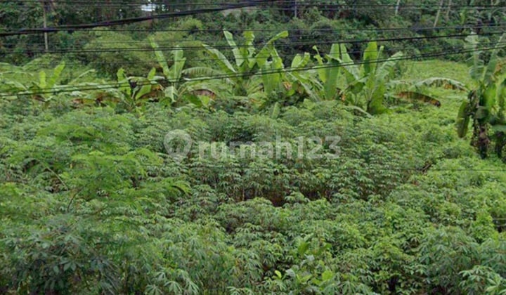 Tanah Sewa Pinggir Jalan Raya Sebelah Rusters