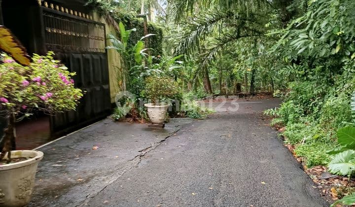 Tanah View Hutan Jalan Lebar Dwkat Ke Pantai Candidasa