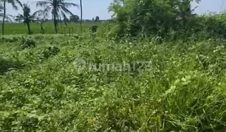 Tanah View Sawah Sungai Keren Sunset Cocok Villa Rentals