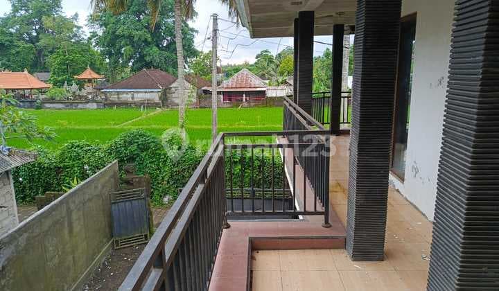 Villa Murah View Sawah Di Ubud Siap Huni Jalan Mobil