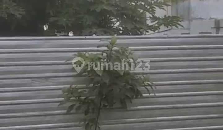 Land for Sale in Denpasar Area, Jl Pulau Buru, Good and Strategic Location
