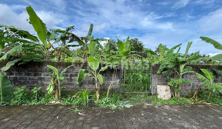 Tanah Bagus Central Ubud 3 Are Harga 2,3 M View Keren