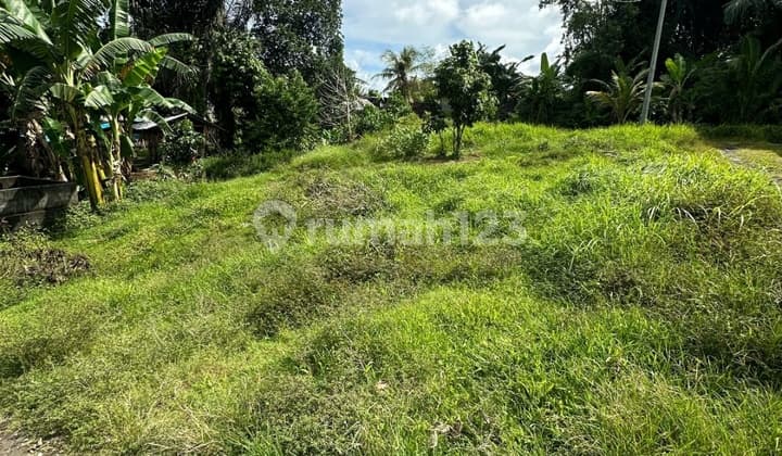 Tanah View Sawah Cocok Untuk Vila Rental