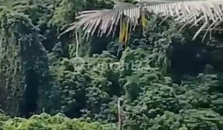 Bukit Tanah River View Forest Yellow Zone Suitable for Villa