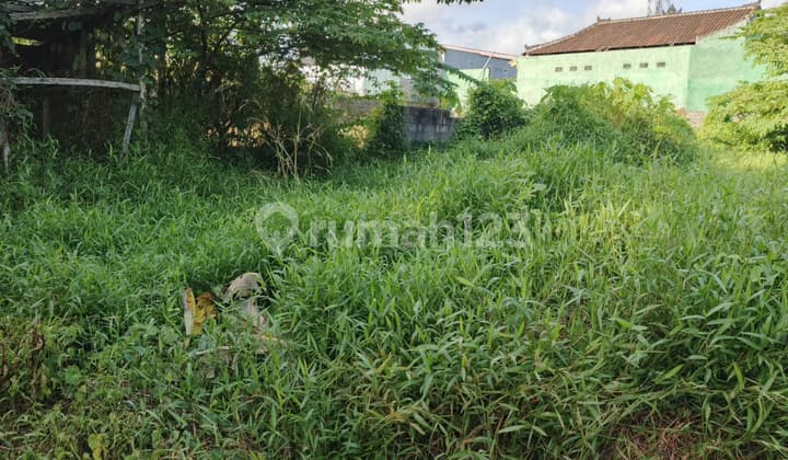 Ready-to-build plot of land in the Yellow Zone, Kerobokan.