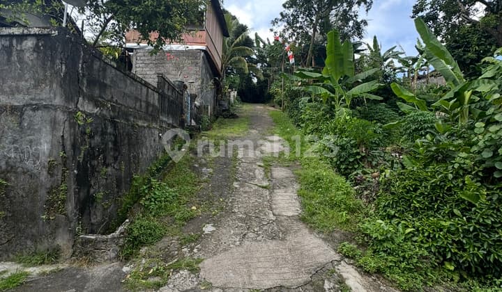 Cheap Agricultural Land Near Gianyar City and Ubud, Ready to Build