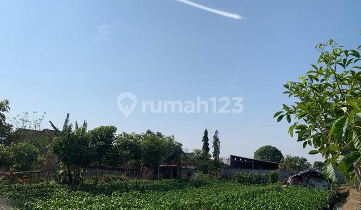 Murah Tanah SHM Luas 5.000 M2 di Pusat Kota Batu