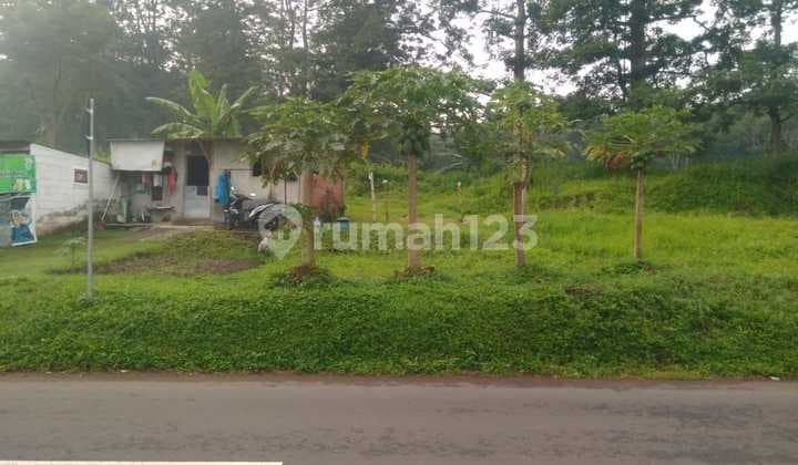 dijual tanah di Nongkojajar kondisi hampir datar