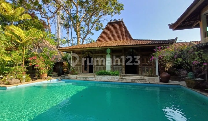 Rumah Unik Nuansa Hutan Tepi Sungai di Kuta Legian