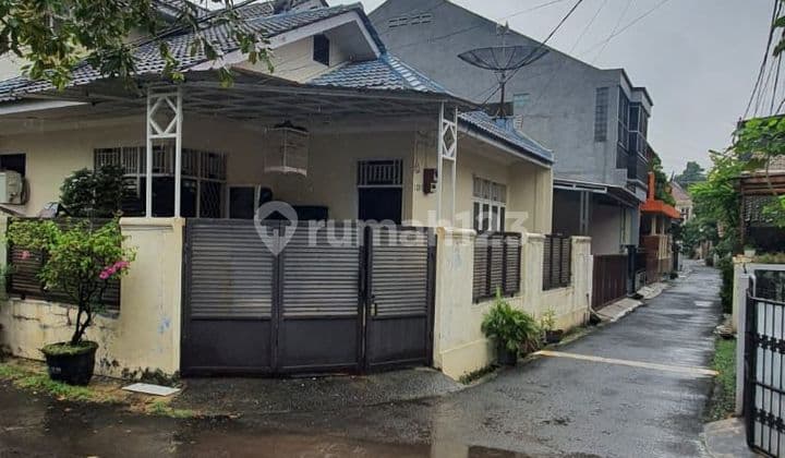 Rumah Nyaman Dan Asri Di Kota Jakarta