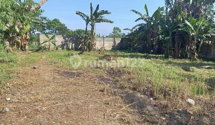 Dijual Tanah di Pabuaran Gunung Sindur Seluas 10.644 M2 Sudah Dipagar Keliling Lokasi Strategis