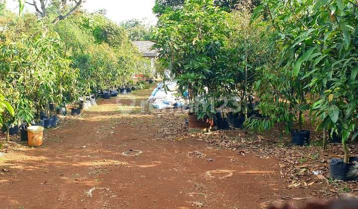 Tanah di Desa Curug, Bogor SHM 7.090 m²
