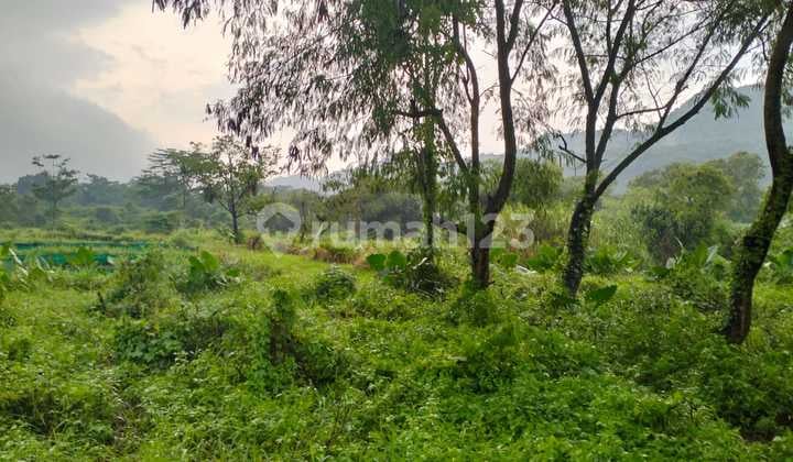 Dijual Tanah di Kembang Kuning Klapanunggal Zona Industri 3 Hektar dyt