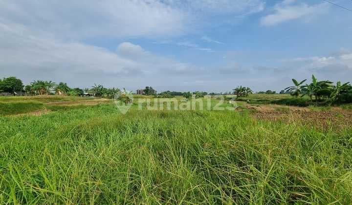 For Sale: 140 Hectares of Land Along the Main Highway in Cikande