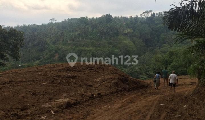 DiJual Tanah di Ubud Bali Seluas 38 Are lokasi sangat Strategis