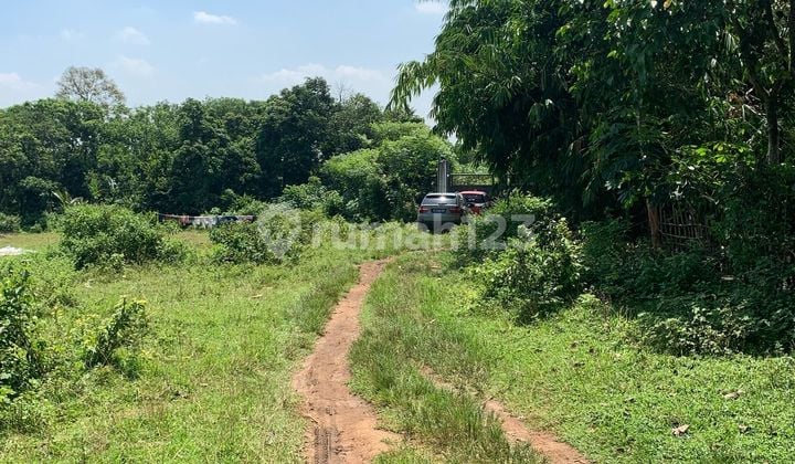 Dijual Tanah DiCikeusal Serang SHM 9013 M2 Akses /kontainer Full Pagar