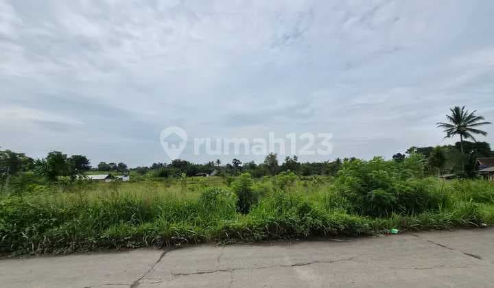 Dijual Tanah Tanah Cileles 10 Hektar Dipinggir Jalan