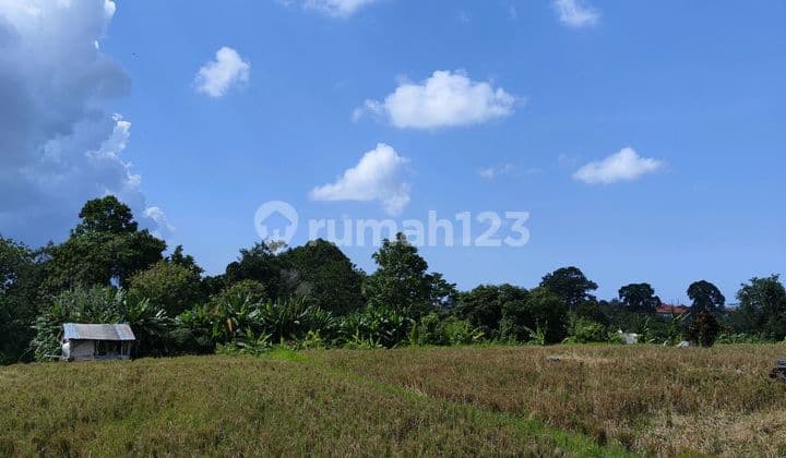 Rumah Semi Villa One Gate System Sangat Dekat Padonan Canggu dengan View Sawah Nyaman Akses Mobil Papasan Dekat ke Kapal ,, Padonan Canggu dan Gatot Subroto Barat