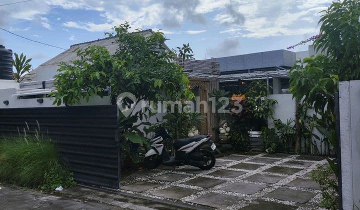 Rice Field View House Open Space Concept Spacious City Center Near Living World In Penatih