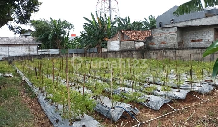 TANAH HOKIE NGANTONG BELAKANG KH.ASHARI VILLA PINANG MESJID RAWDHATUL JANNAH NO 08 TANGERANG