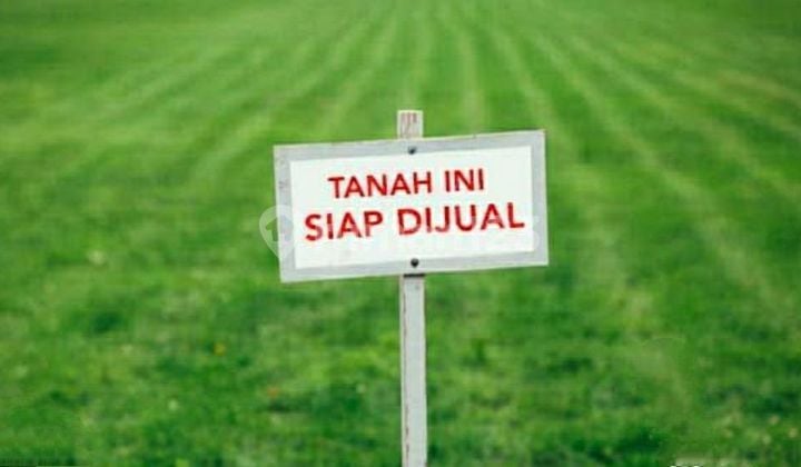 Kavling tanah Bentuk Kotak Di Citraland Surabaya Barat Kavling tanah Bentuk Kotak Di Citraland Surabaya Barat