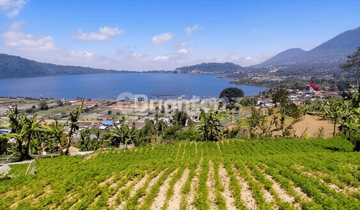 Land for Sale in Candi Kuning Bedugul Bali