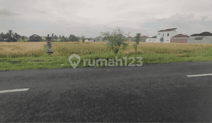 Di Jual Tanah Pinggir Jalan Raya Yeh Gangga Tabanan