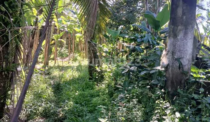 Investasi Lahan Ubud, SHM, Lokasi Prima Dekat Destinasi Wisata
