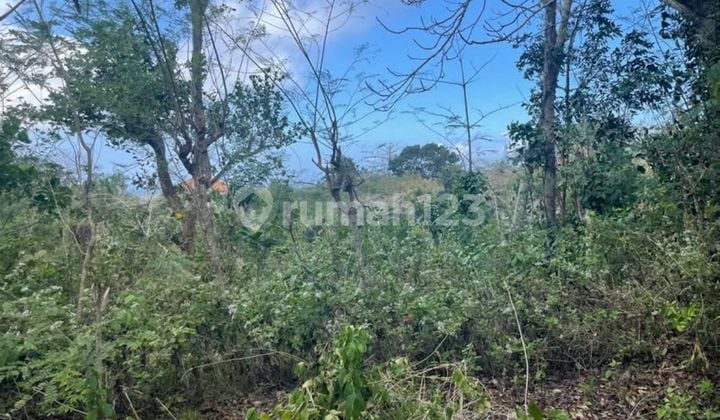 Investasi Tanah Premium Uluwatu, Dekat Alila Villas & Savaya