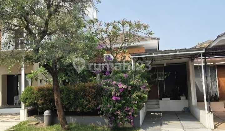 Dijual Rumah Semi Furnished Murah Dan Bagus Ivy Park Bsb