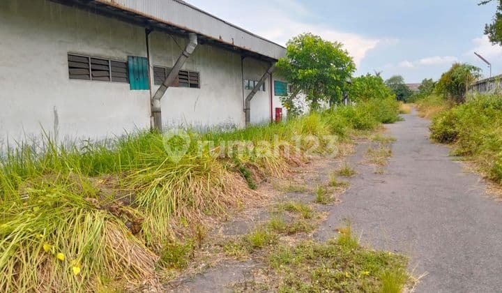 2005 Auction Sale Ex Factory Raya Randupitu Gunungsindur Beji Pasuruan