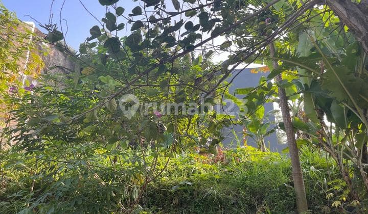 Kavling Hook Istana Regency 1