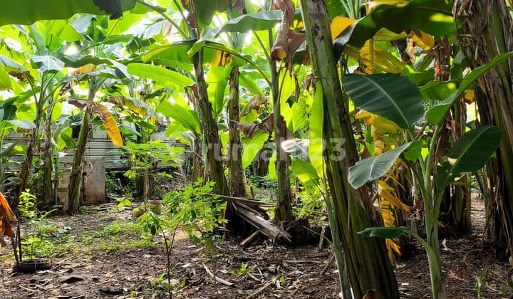 Kavling Premium Dengan Bentuk Tanah Persegi Di Kawasan Sunter Hijau, Jakarta Utara