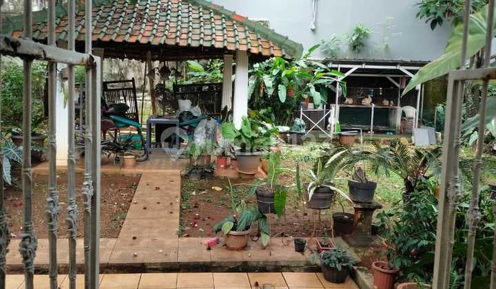 Rumah Pinggir Jalan Cipete Jaksel Cocok Untuk Kost Dan Usaha Lain