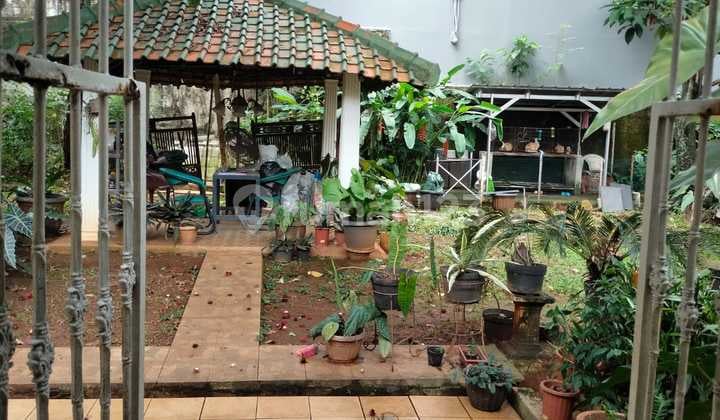 Rumah Pinggir Jalan Cipete Jaksel Cocok Untuk Kost Dan Usaha Lain