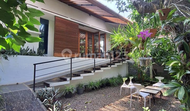 Rumah Cipete Jaksel Dengan Kebun Dan Tanah Luas Bagus Dan Asri