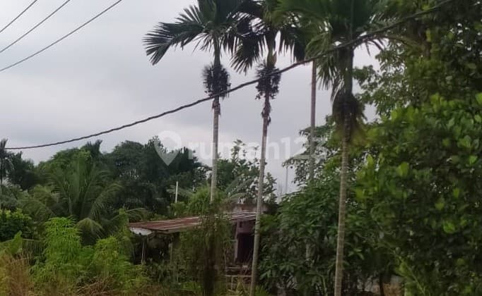 Plot for Sale in Tarai Bangun, Kampar, Riau