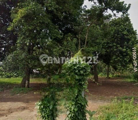 Kavling Datar Siap Bangun Cocok Untuk Dibangun Cluster Atau Usaha