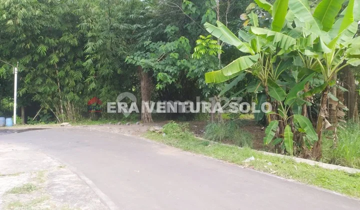 Tanah Pekarangan Cocok Untuk Perumahan Karanganyar Tanah Pekarangan Cocok Untuk Perumahan Karanganyar