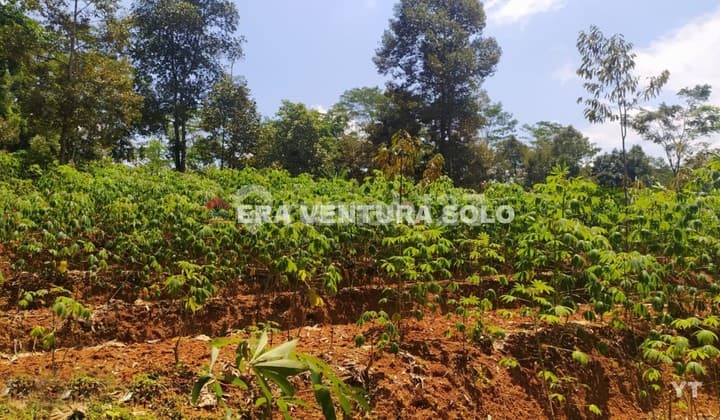 Tanah Zona Hijau Strategis Kerjo Karanganayr