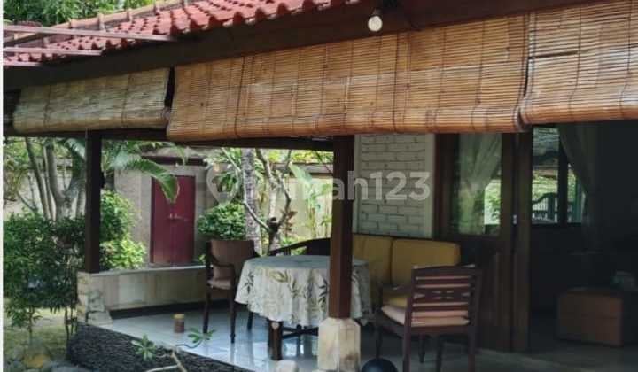 For Sale Bali Villa Fully Furnished With Swimming Pool