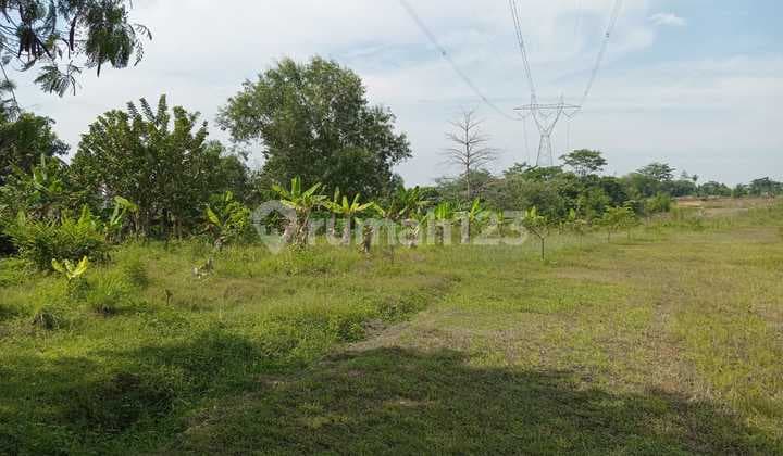 Dijual Kavling Citeureup Dekat Tol Akses Kontainer