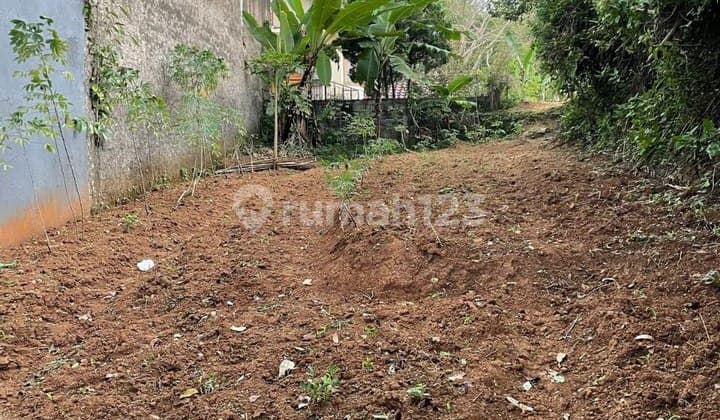 Tanah Matang di Cigadung Rancakendal Cibeunying Bandung