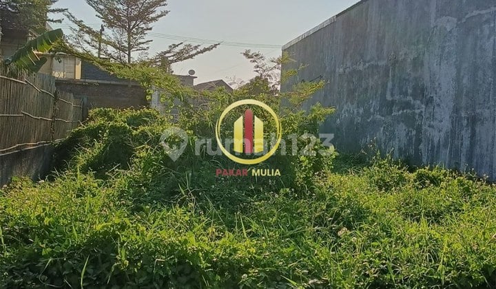 Tanah Matang di Cisaranten Arcamanik Bandung