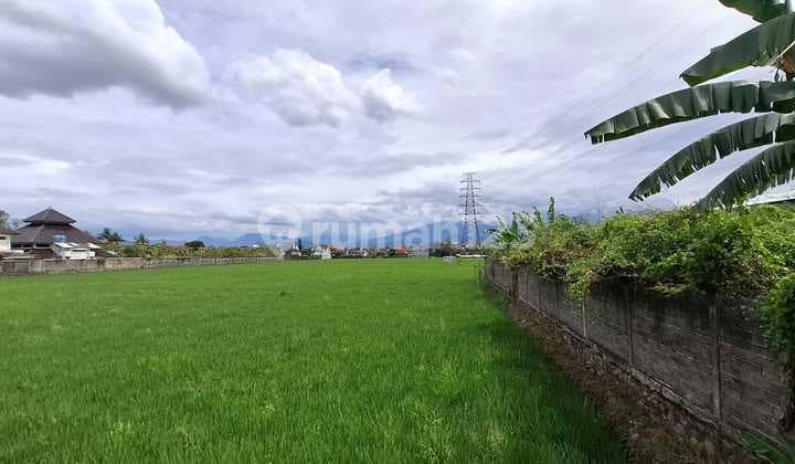 Terumurah, Tanah Komersial Mainroad Sukarnohatta 3.8Ha