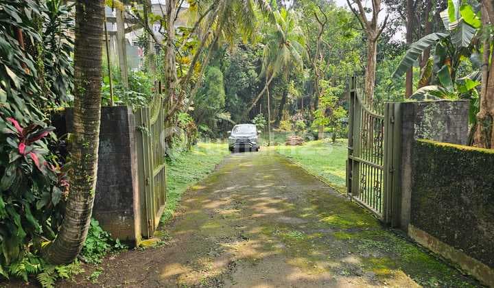 Tanah Luas 10.000 m² Strategis Cocok Untuk Usaha di Gadog, Bogor